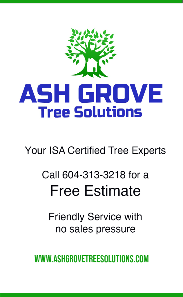 Ash Grove Tree Solutions